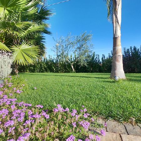Malia Holiday Villa 孔韦尔萨诺 外观 照片